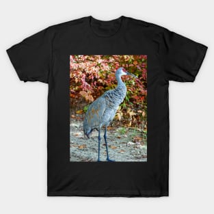 Crane's Walkabout T-Shirt